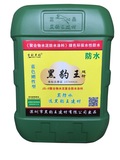 蓝色黑豹王系列